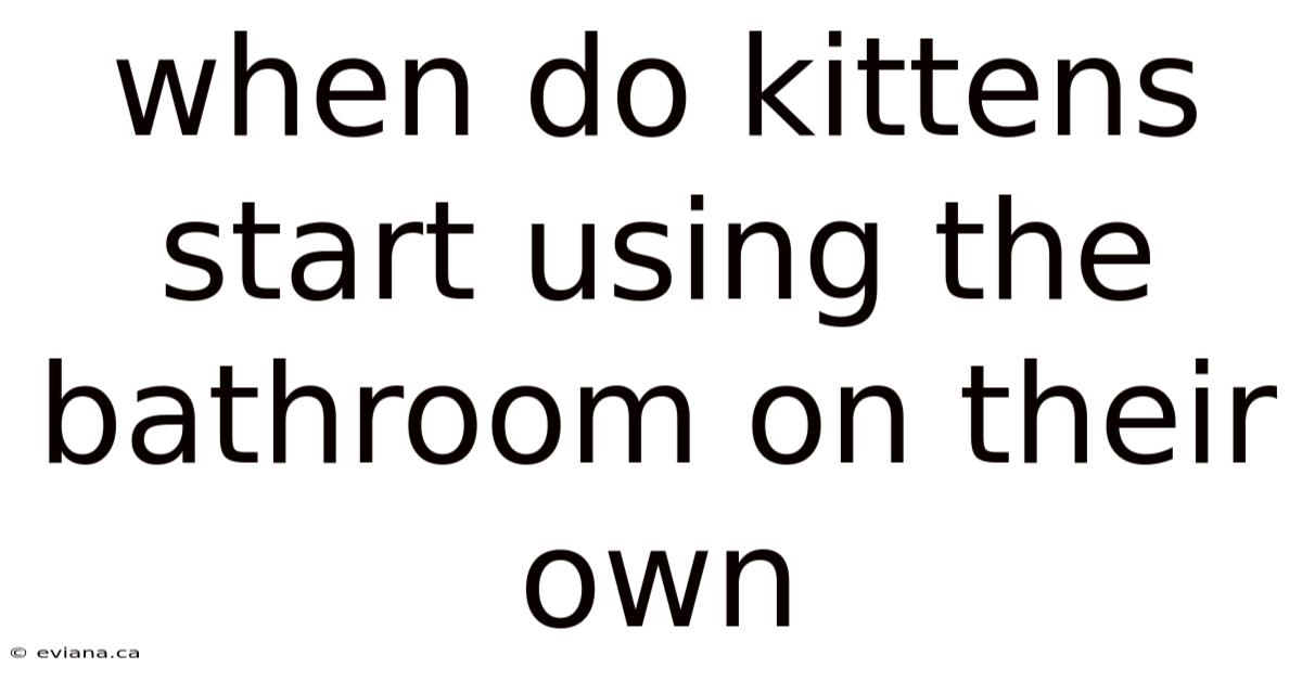 When Do Kittens Start Using The Bathroom On Their Own