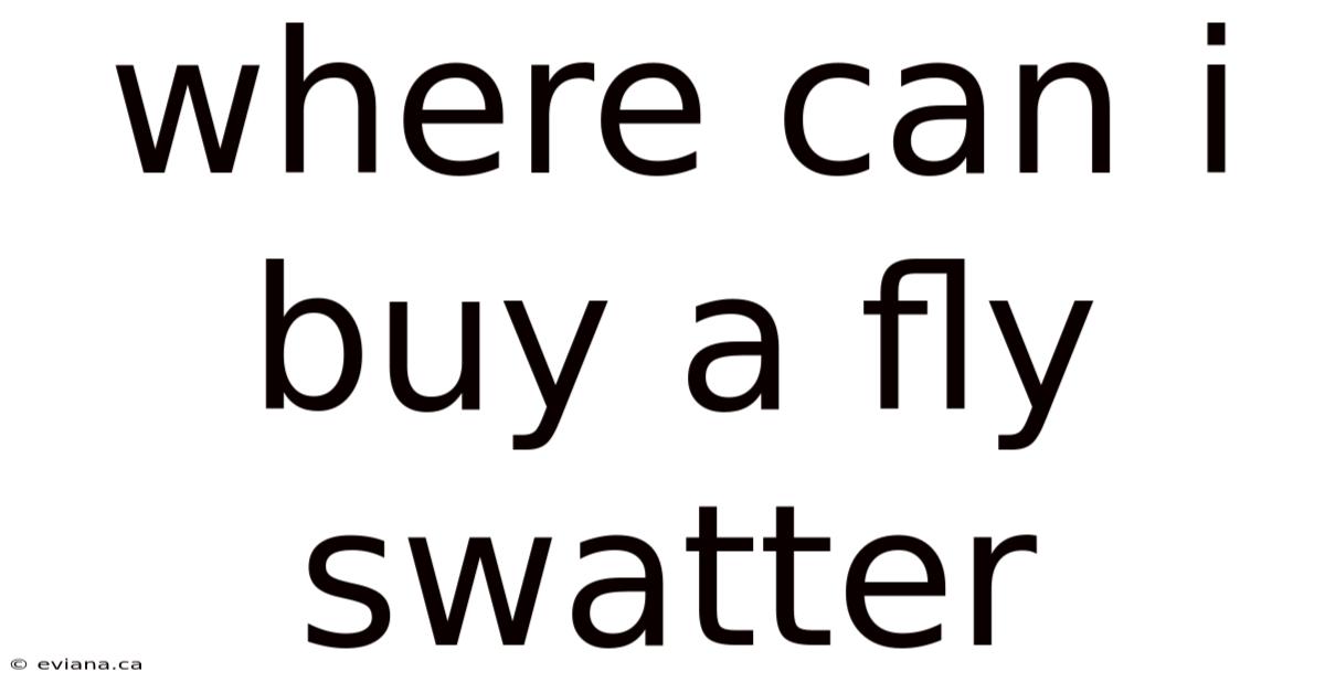 Where Can I Buy A Fly Swatter