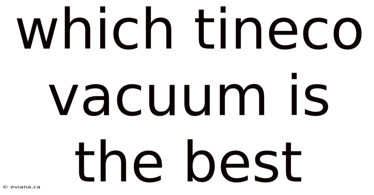 Which Tineco Vacuum Is The Best