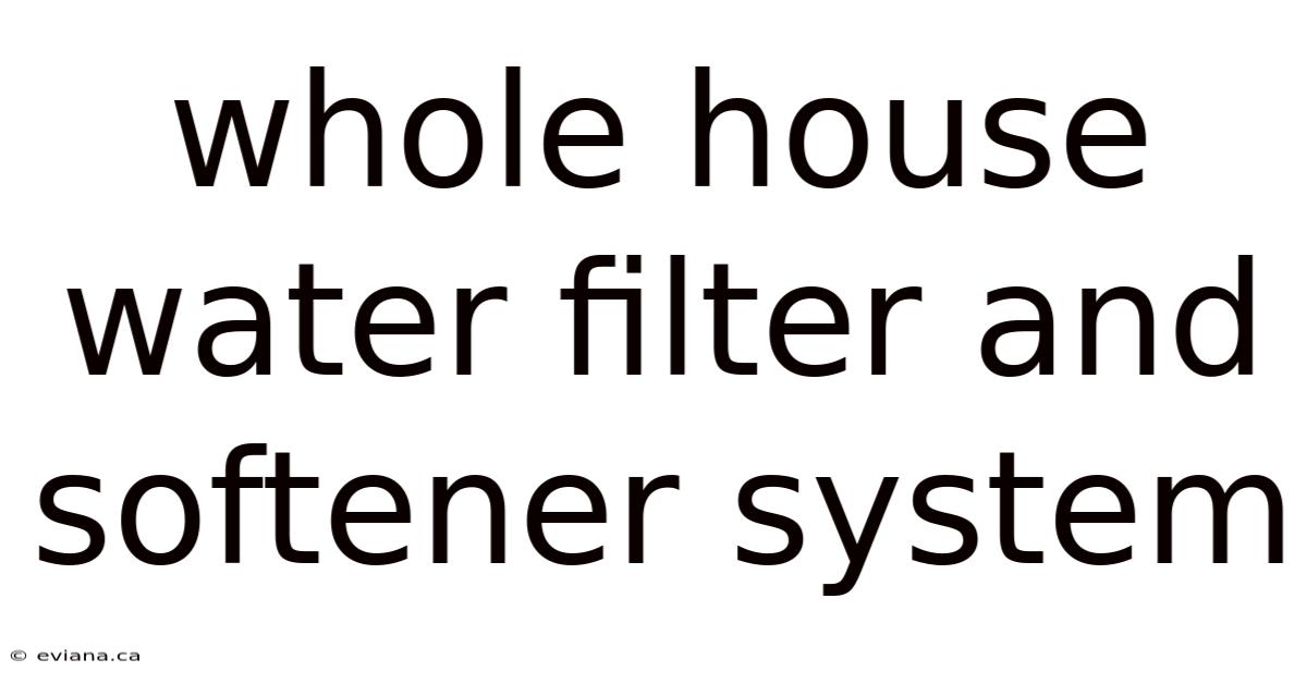 Whole House Water Filter And Softener System