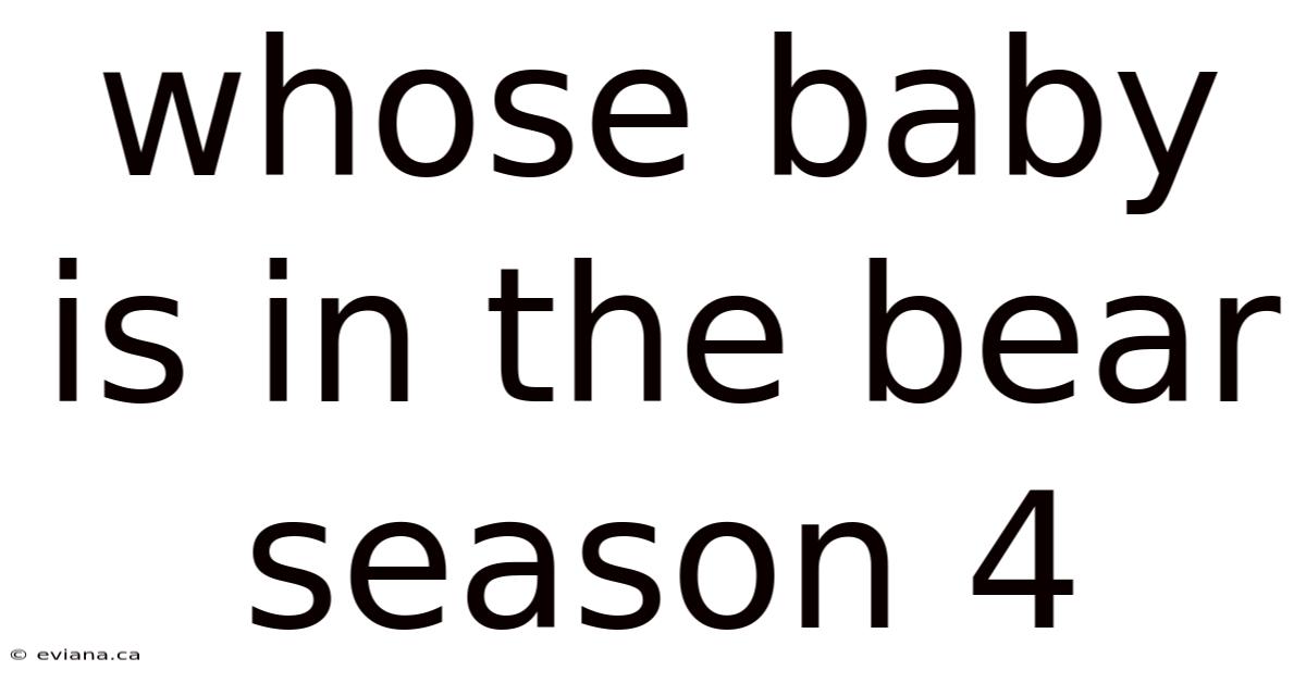 Whose Baby Is In The Bear Season 4