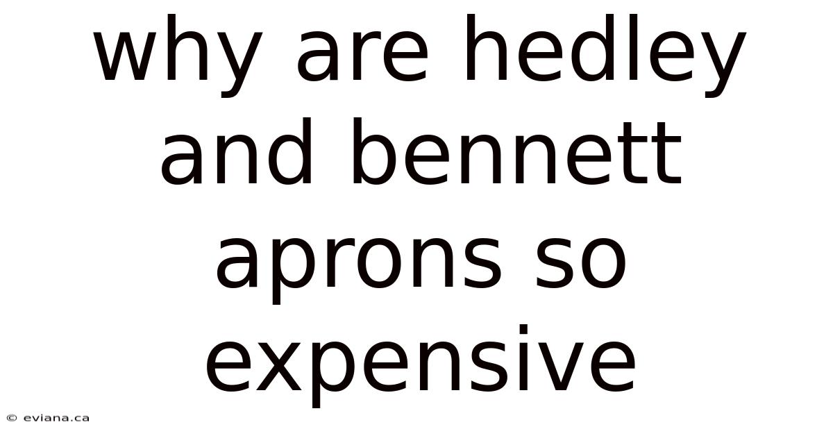Why Are Hedley And Bennett Aprons So Expensive