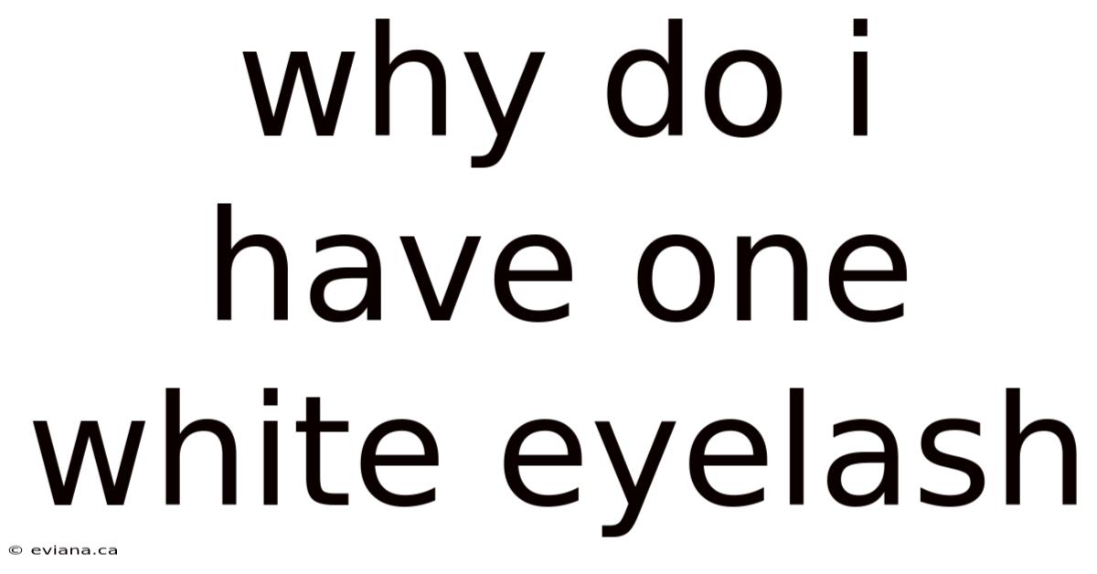 Why Do I Have One White Eyelash