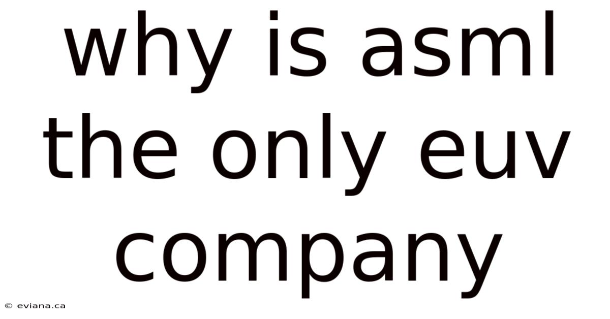 Why Is Asml The Only Euv Company